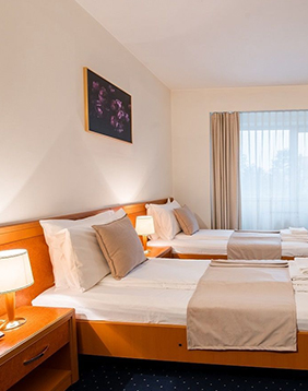 Cazare Timisoara | Cazare la hotel in Timisoara | Oferta cazare Timisoara | Centru evenimente Timisoara | Organizare evenimente Timisoara | Restaurant in Timisoara | Sala de evenimente Timisoara | Sala de conferinta Timisoara | Organizare Evenimente si Nunti Timisoara | Hotel Royal Plaza Timisoara | Hotel Oxford Timisoara | Hotel Excelsior Timisoara | Hotel President Timisoara | Czare in Timisoara
